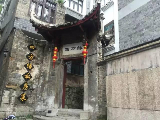 寻找迷路的松鼠